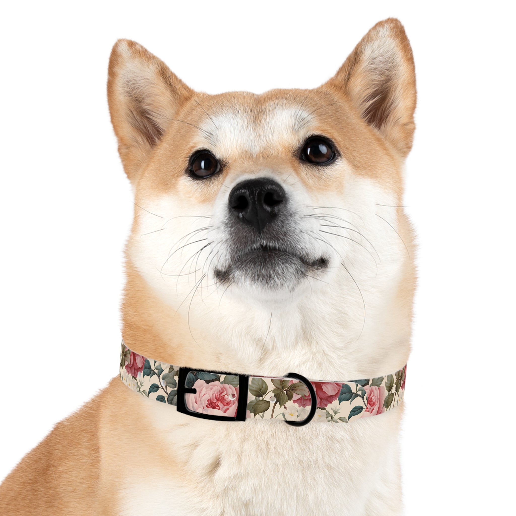 Made in USA - English Rose Design - Waterproof Hypoallergenic Dog Collar - Pet Crate | Trusted and Loved by Pet Lovers