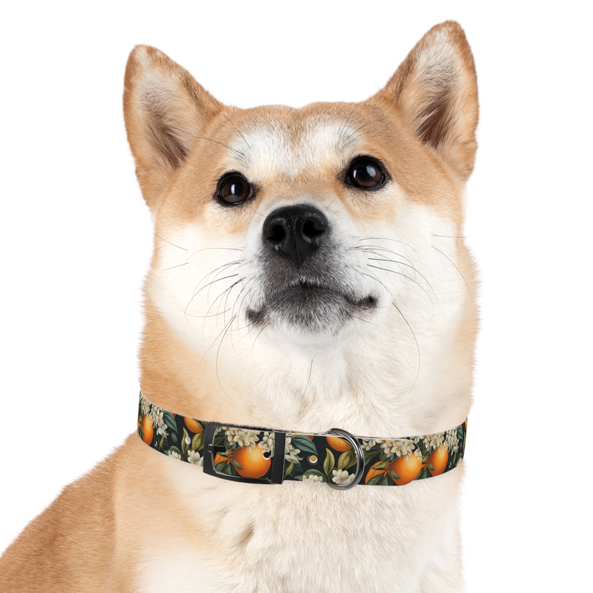 Orange Blossom Pattern - Hypoallergenic Waterproof Dog Collar - Proudly Made in USA - Pet Crate | Trusted and Loved by Pet Lovers