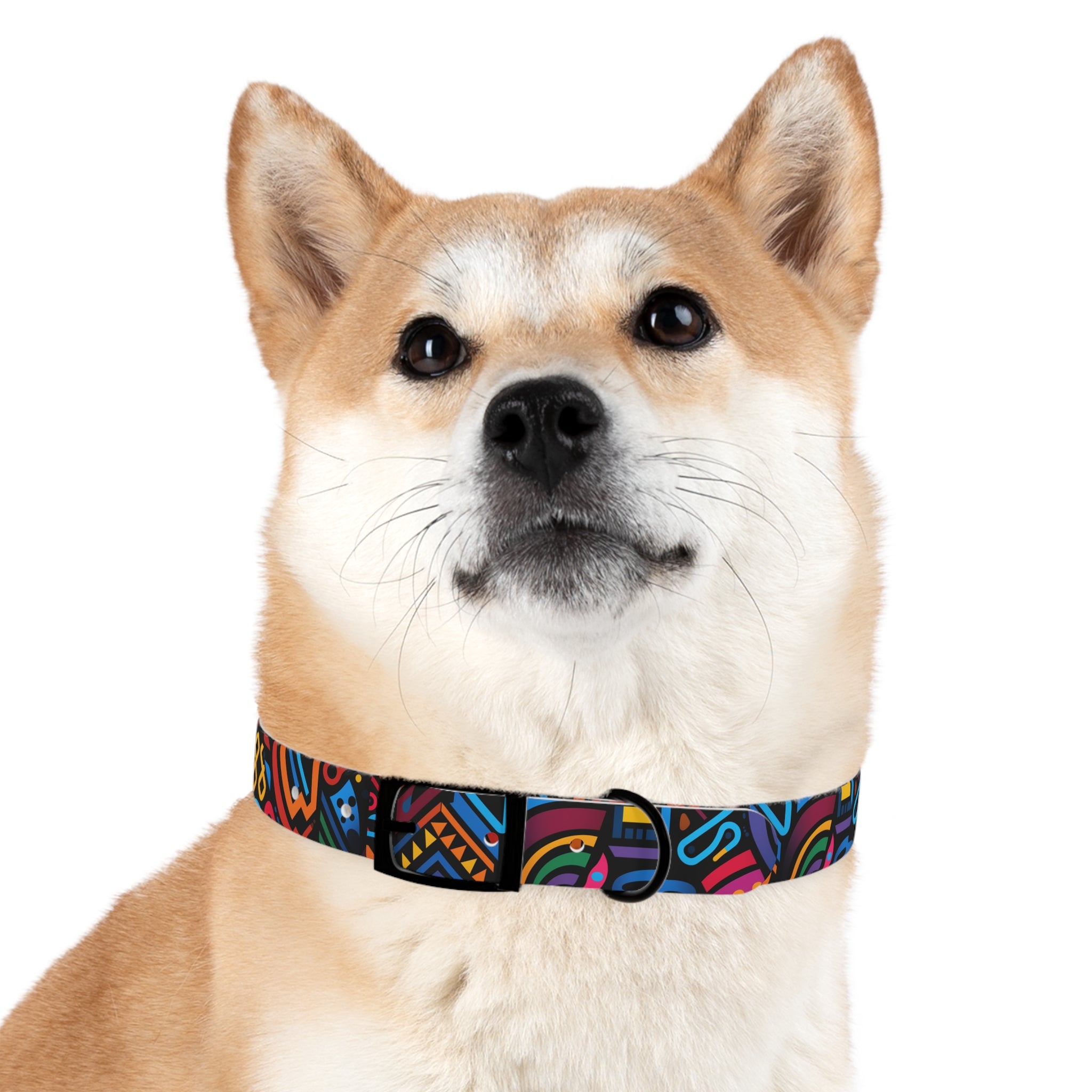 Bold Color Pop Waterproof Hypoallergenic Dog Collar - Made in USA - Pet Crate | Trusted and Loved by Pet Lovers