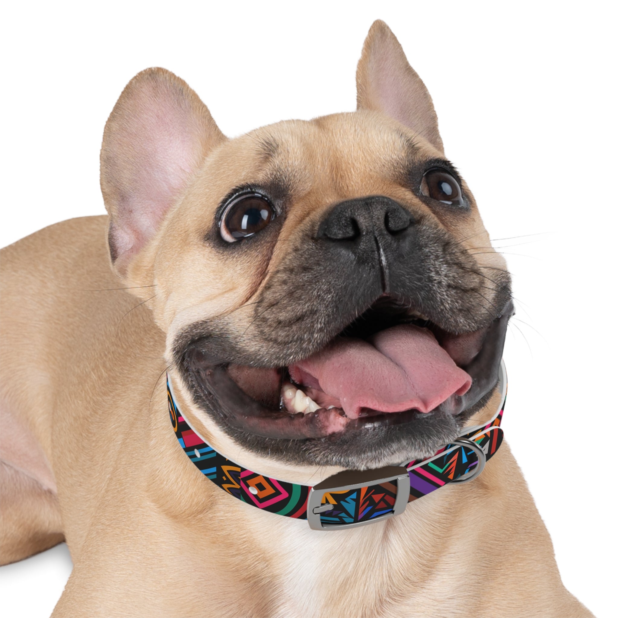 Bold Geometric Colorway - Waterproof Hypoallergenic Dog Collar - Made in USA - Pet Crate | Trusted and Loved by Pet Lovers