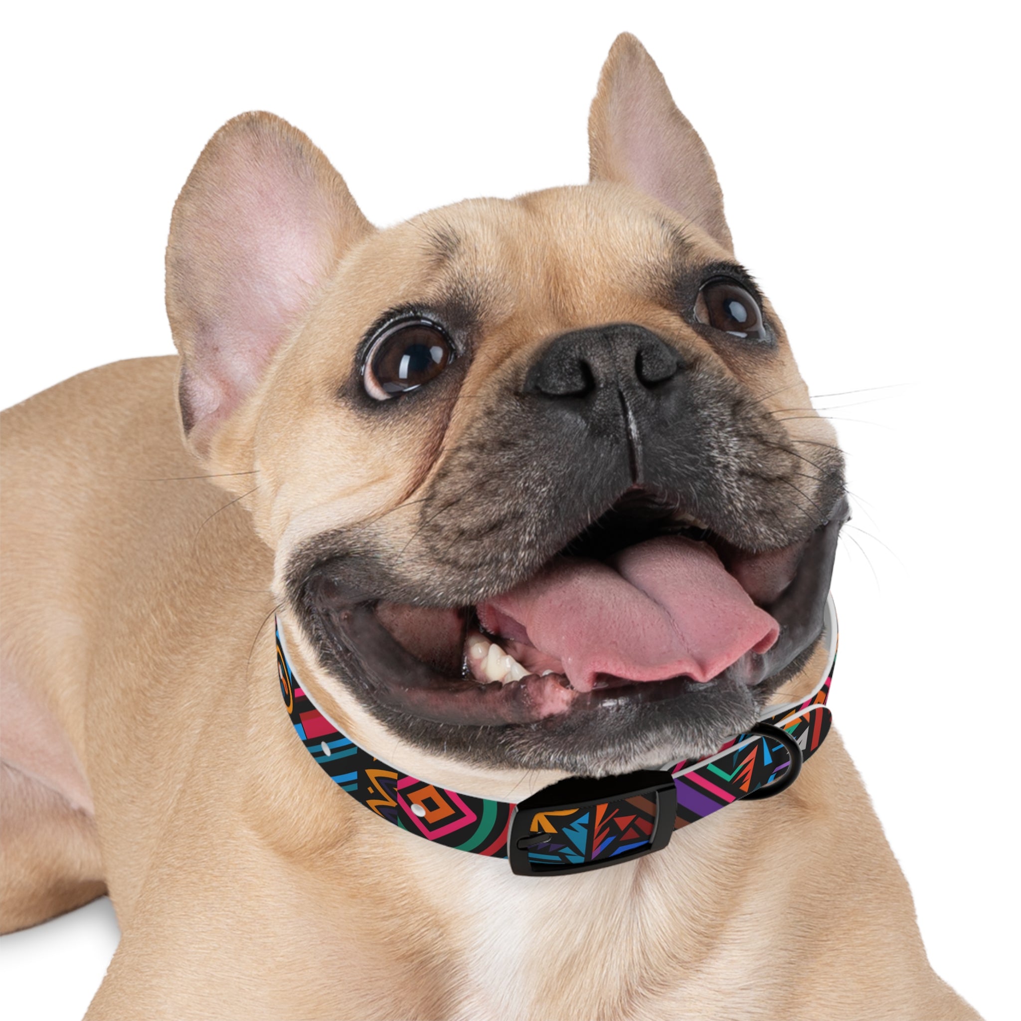 Bold Geometric Colorway - Waterproof Hypoallergenic Dog Collar - Made in USA - Pet Crate | Trusted and Loved by Pet Lovers