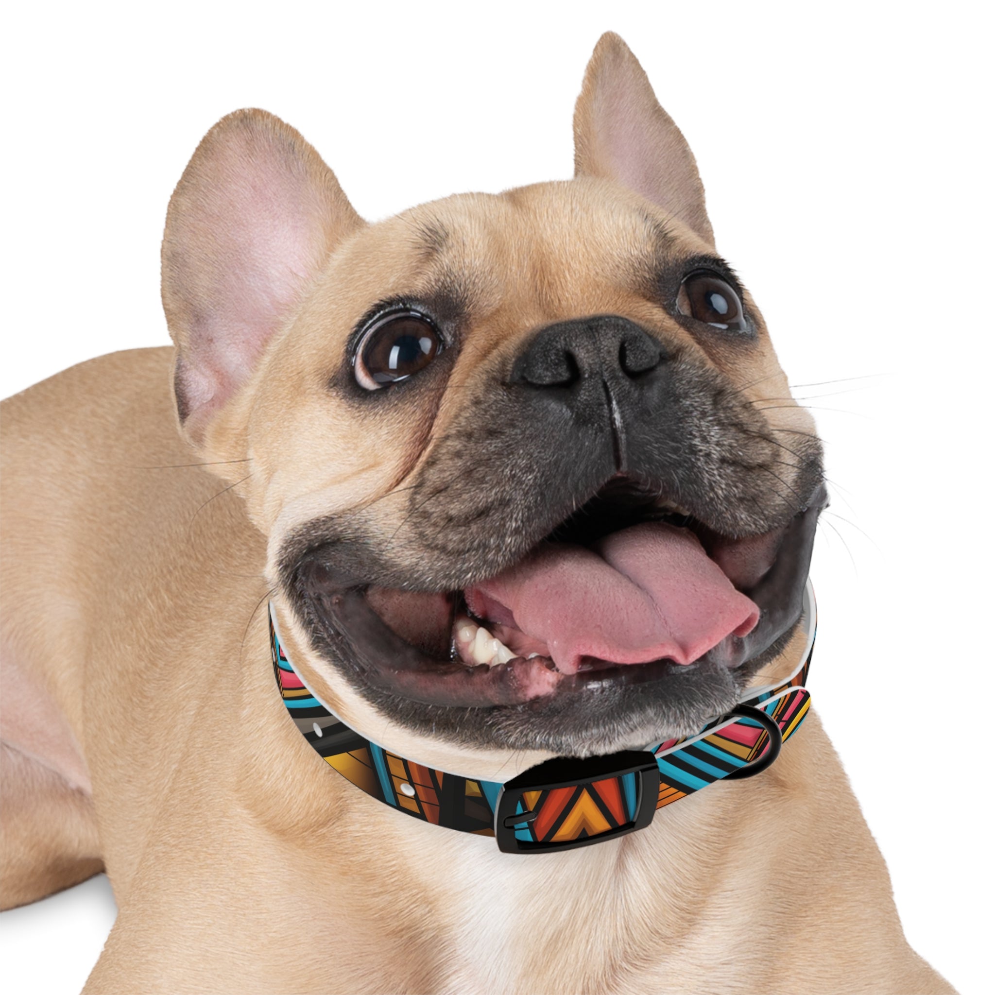 Stained Glass Design - Hypoallergenic Waterproof Dog Collar - Made in USA - Pet Crate | Trusted and Loved by Pet Lovers