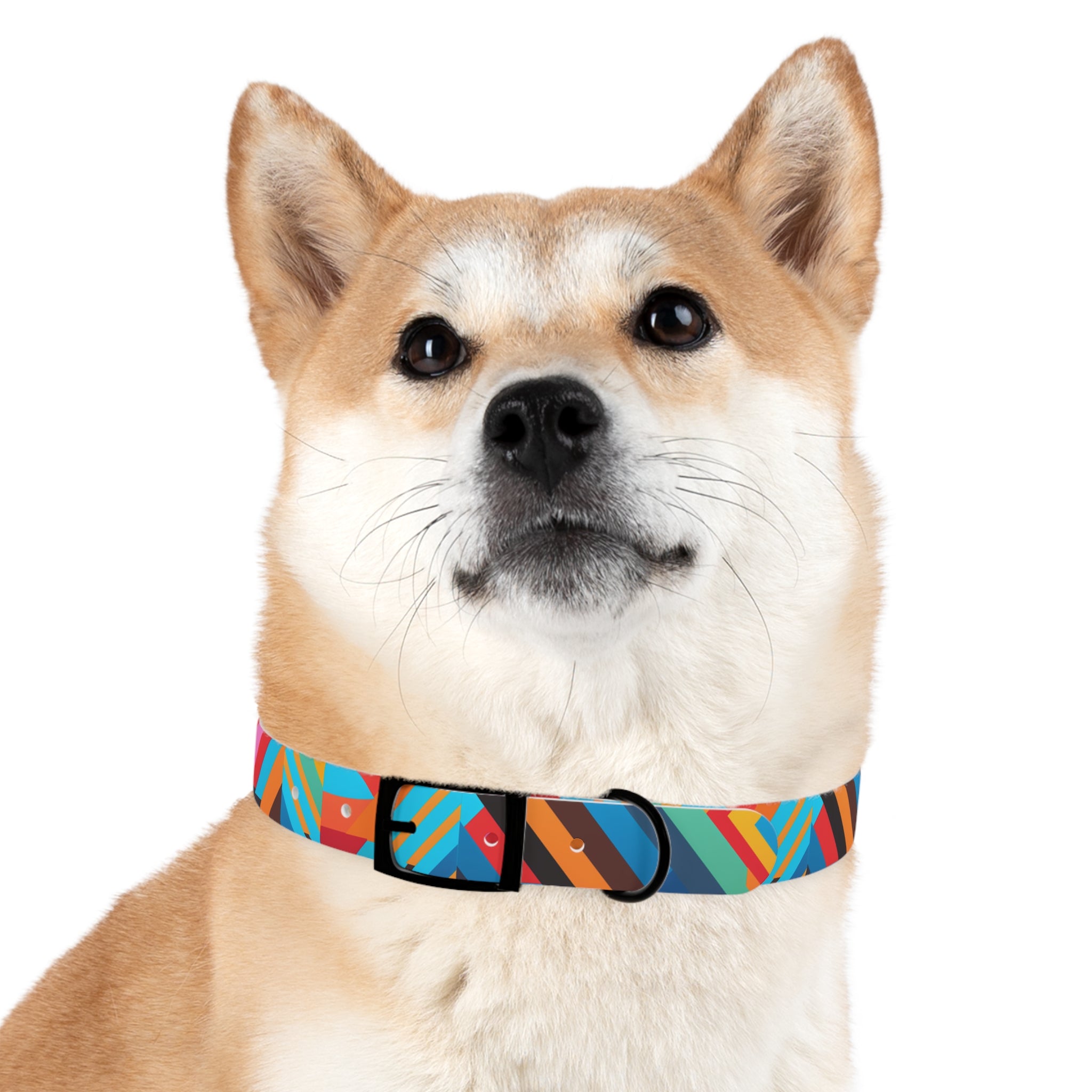 Bold Colorway Fun - Waterproof Hypoallergenic Dog Collar - Made Crafted in USA - Pet Crate | Trusted and Loved by Pet Lovers