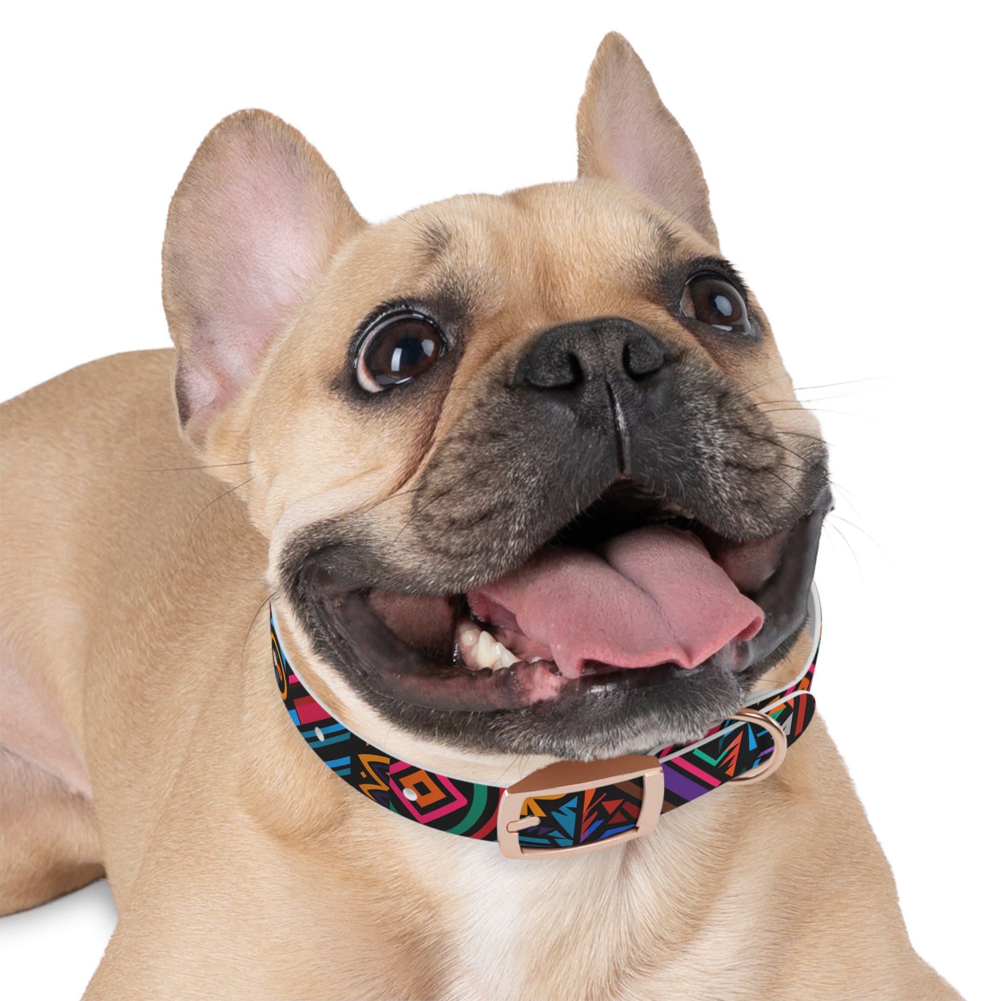 Bold Geometric Colorway - Waterproof Hypoallergenic Dog Collar - Made in USA - Pet Crate | Trusted and Loved by Pet Lovers
