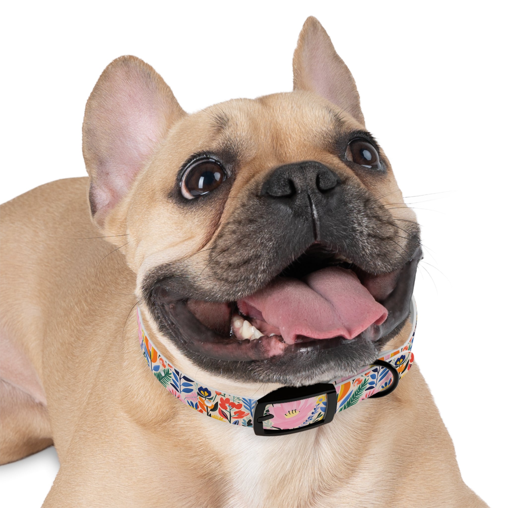 Waterproof Hypoallergenic Dog Collar - Matisse Inspired Floral Design - Made in USA - Pet Crate | Trusted and Loved by Pet Lovers