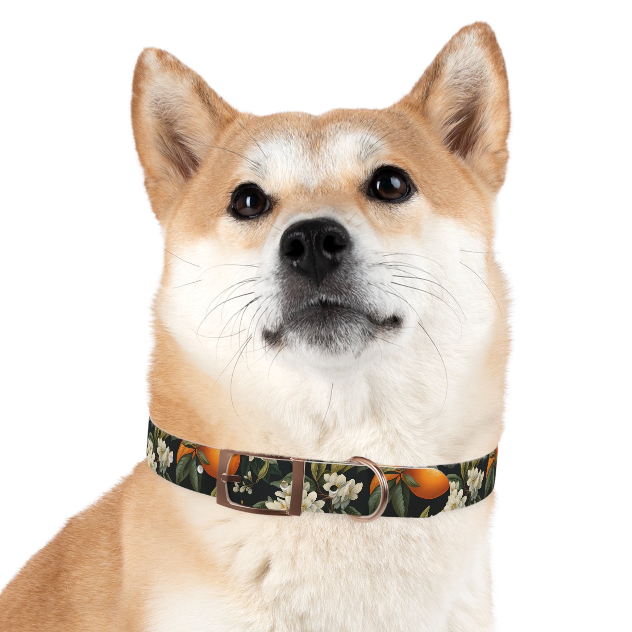 Orange Blossom Pattern - Hypoallergenic Waterproof Dog Collar - Proudly Made in USA - Pet Crate | Trusted and Loved by Pet Lovers