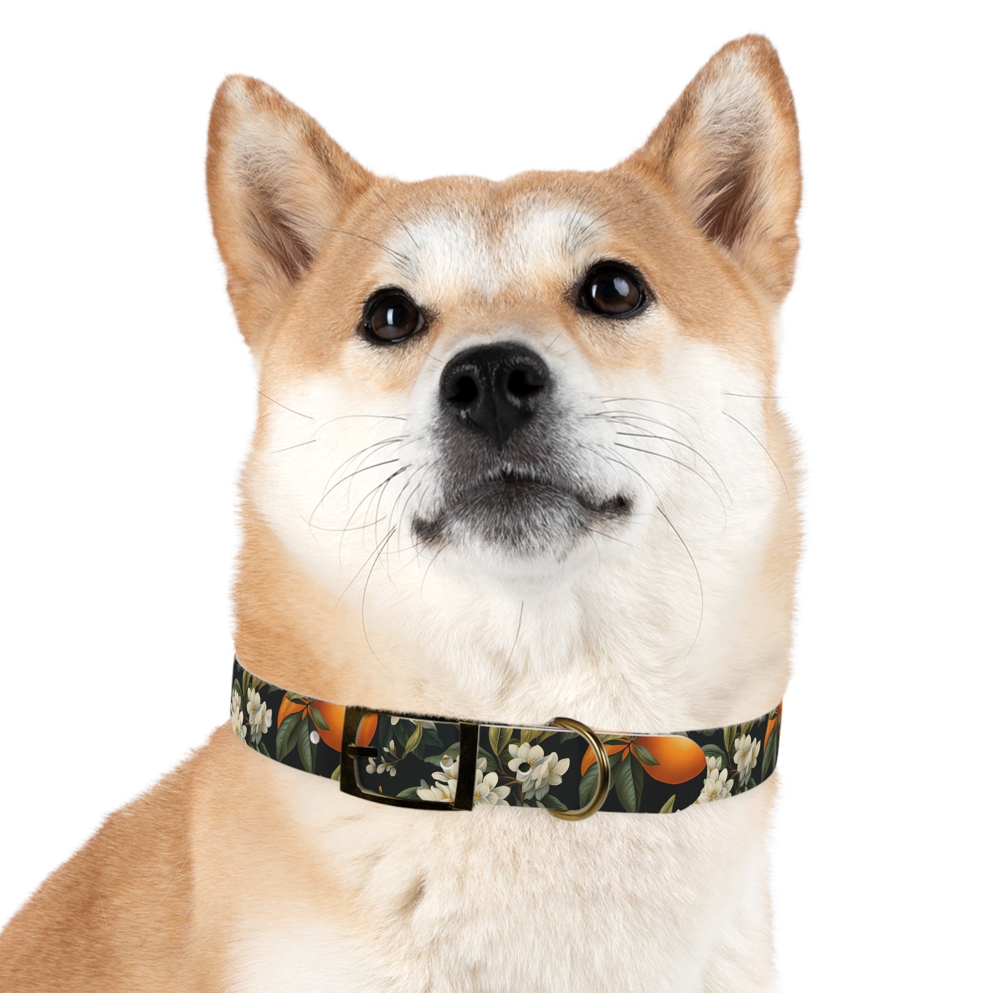 Orange Blossom Pattern - Hypoallergenic Waterproof Dog Collar - Proudly Made in USA - Pet Crate | Trusted and Loved by Pet Lovers