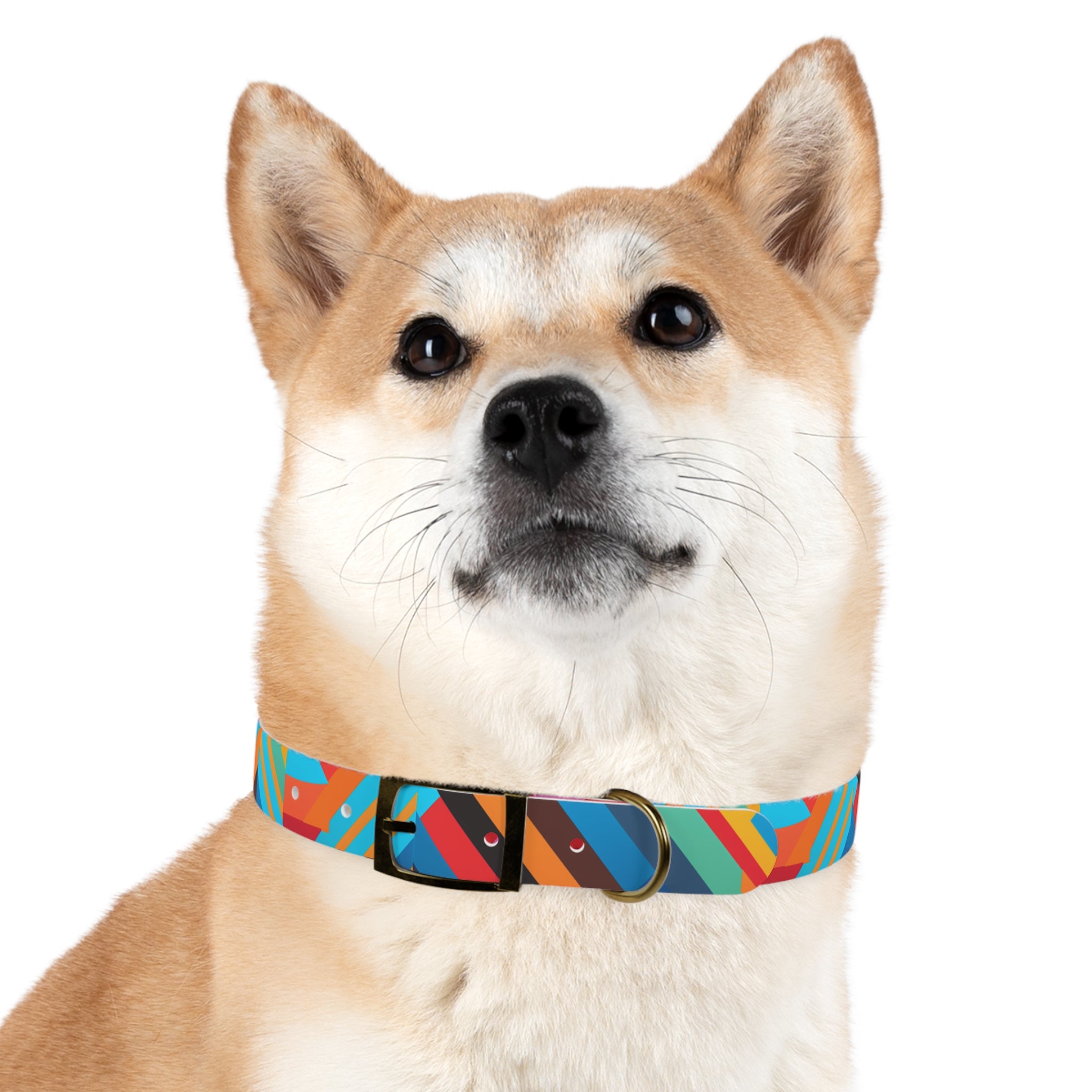 Bold Colorway Fun - Waterproof Hypoallergenic Dog Collar - Made Crafted in USA - Pet Crate | Trusted and Loved by Pet Lovers