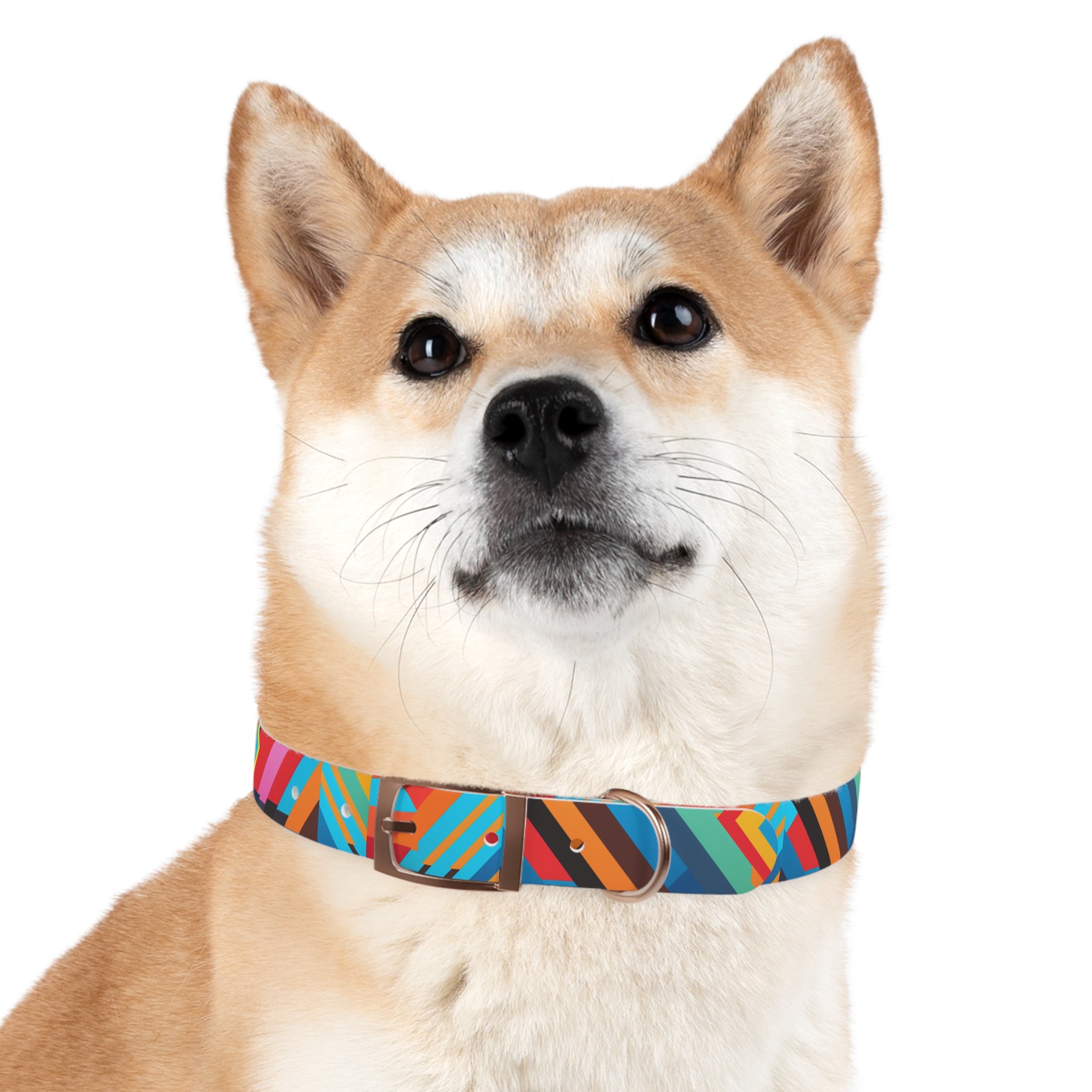 Bold Colorway Fun - Waterproof Hypoallergenic Dog Collar - Made Crafted in USA - Pet Crate | Trusted and Loved by Pet Lovers