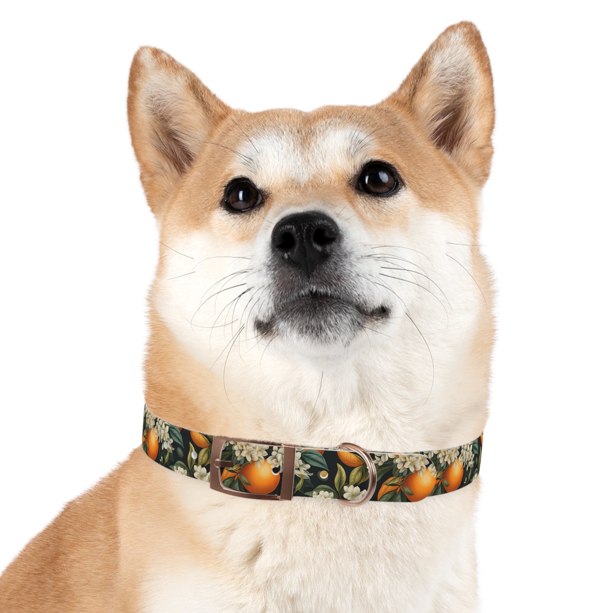 Orange Blossom Pattern - Hypoallergenic Waterproof Dog Collar - Proudly Made in USA - Pet Crate | Trusted and Loved by Pet Lovers