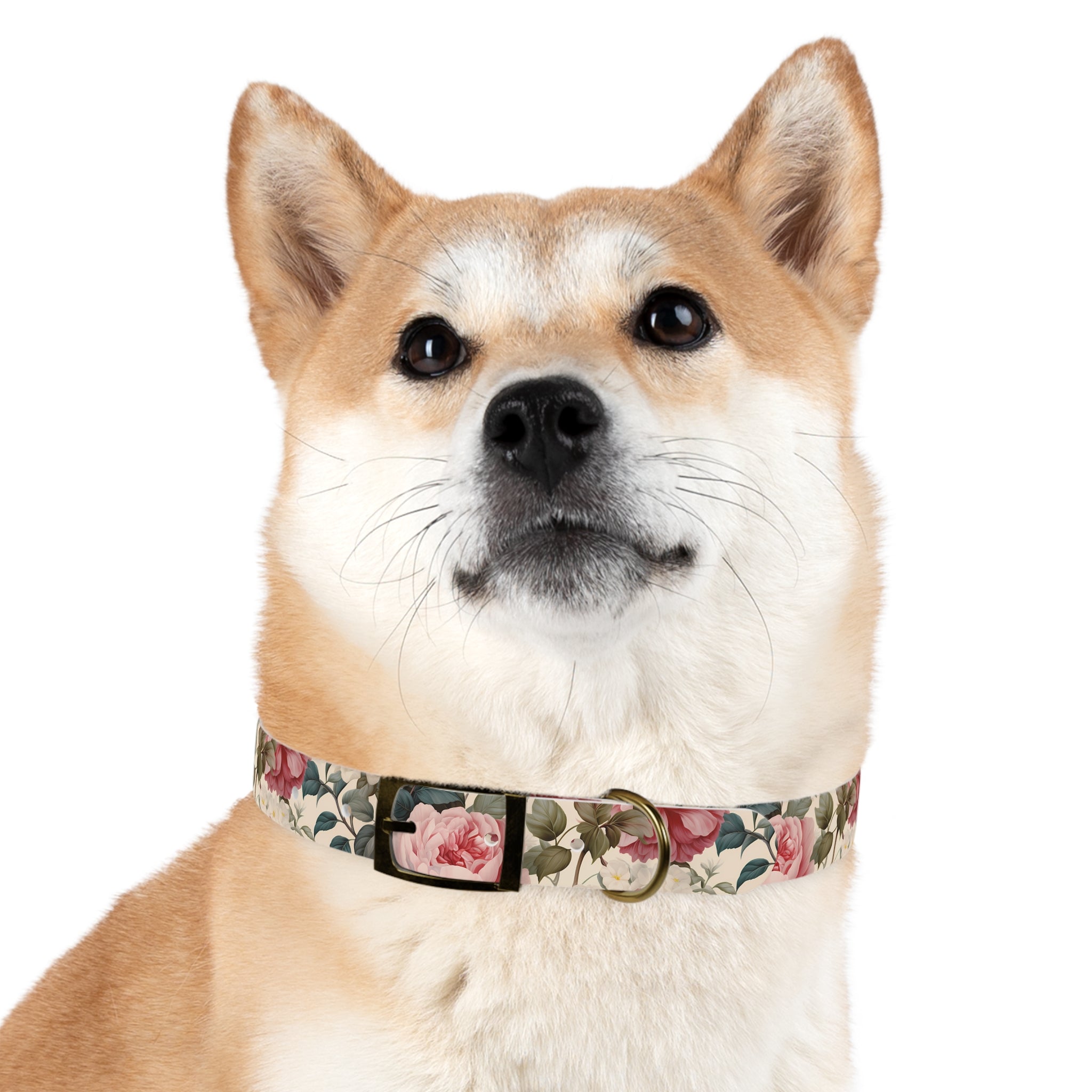 Made in USA - English Rose Design - Waterproof Hypoallergenic Dog Collar - Pet Crate | Trusted and Loved by Pet Lovers