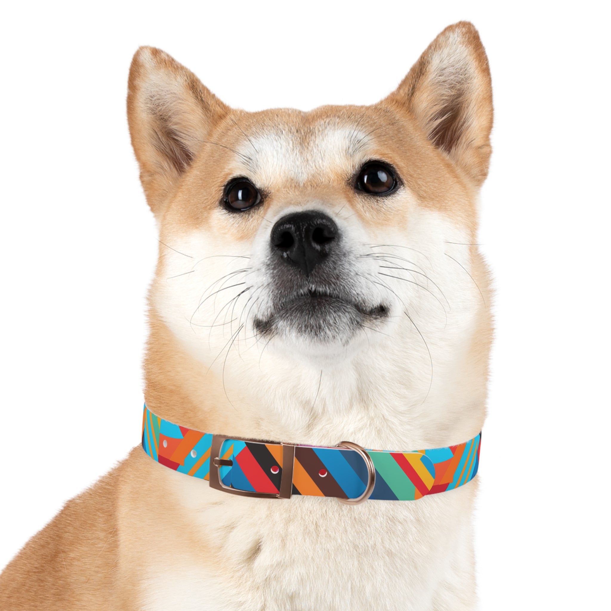 Bold Colorway Fun - Waterproof Hypoallergenic Dog Collar - Made Crafted in USA - Pet Crate | Trusted and Loved by Pet Lovers