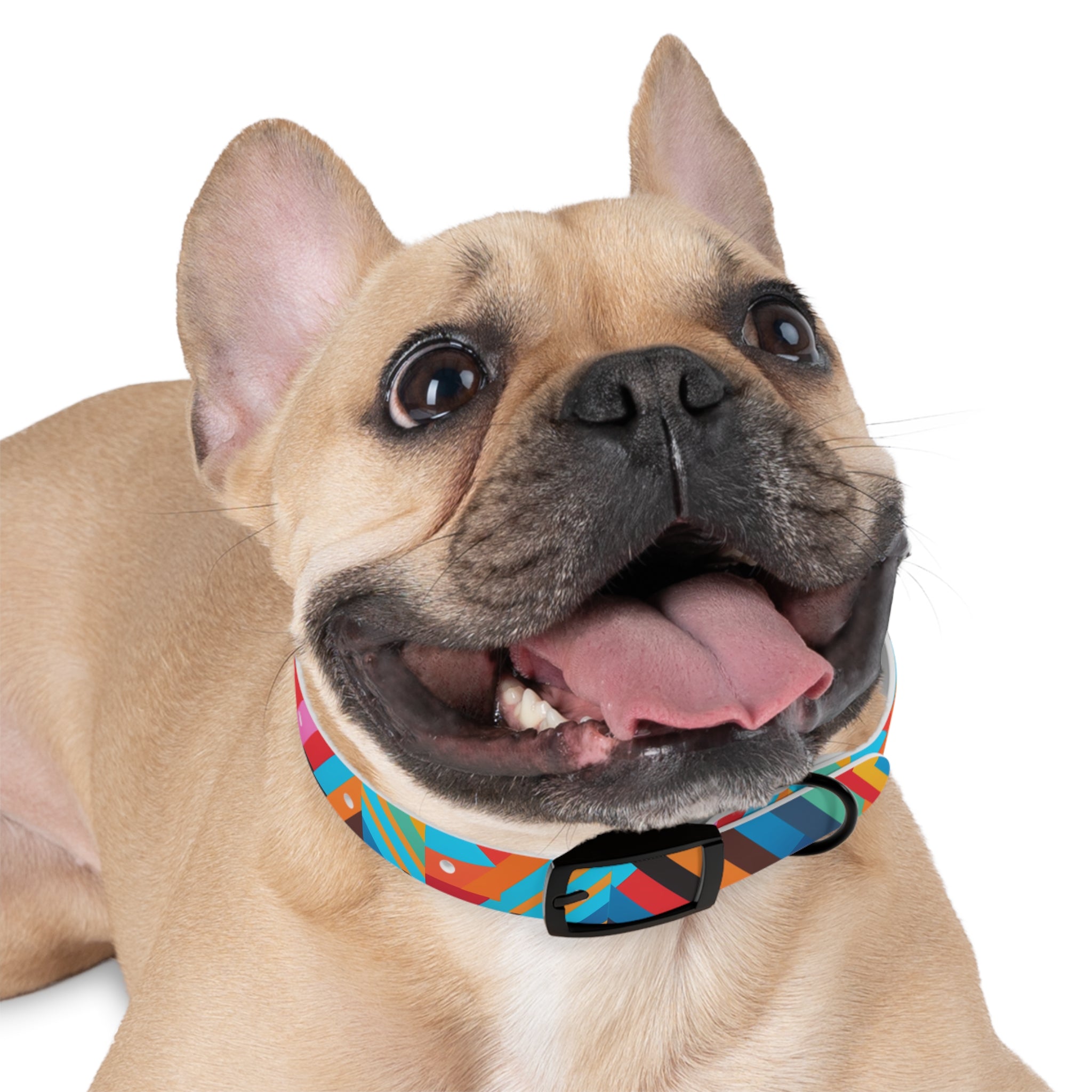 Bold Colorway Fun - Waterproof Hypoallergenic Dog Collar - Made Crafted in USA - Pet Crate | Trusted and Loved by Pet Lovers