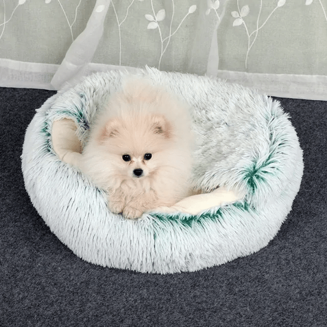 Donut Cuddler - Super Comfortable Pet Bed - Pet Crate | Trusted and Loved by Pet Lovers