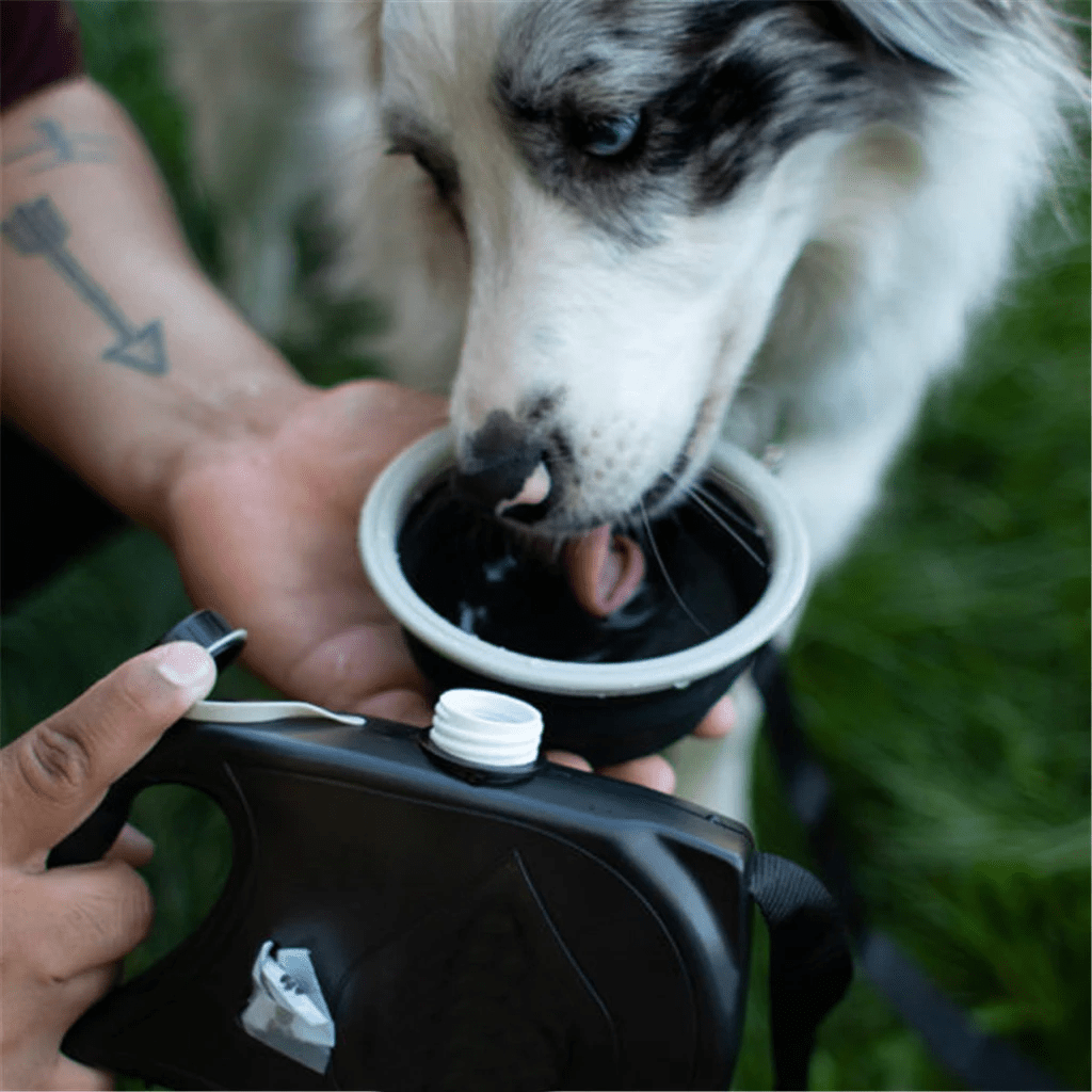 Multifunctional Dog Leash with Bowl - Pet Crate | Trusted and Loved by Pet Lovers