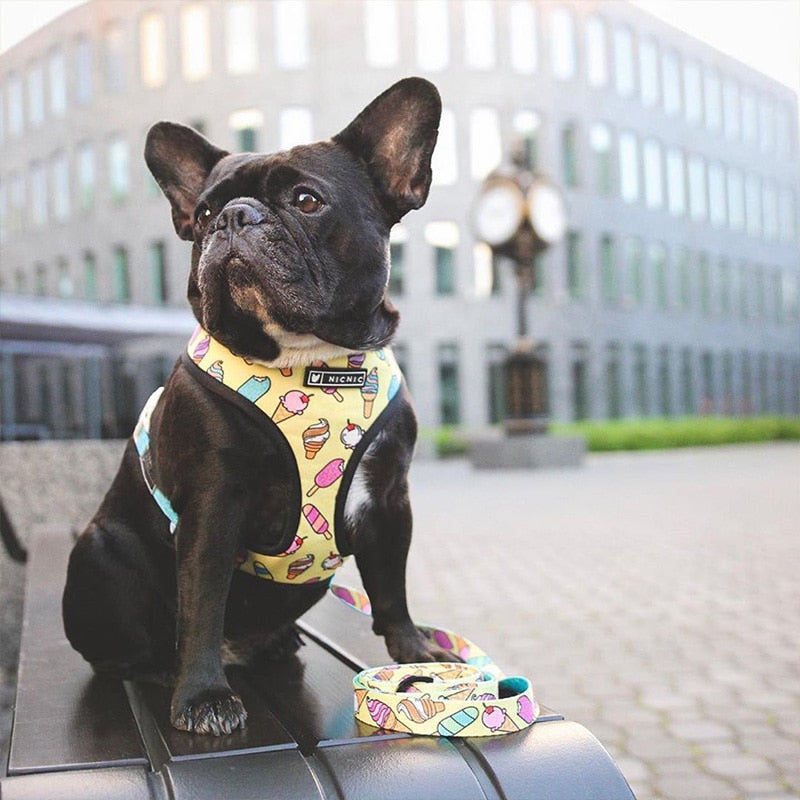 Tropical French Bulldog Leash and Harness - Pet Crate | Trusted and Loved by Pet Lovers